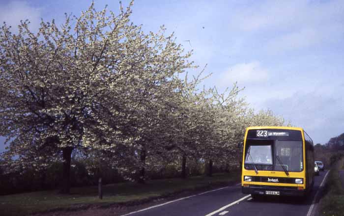 Beeline Leyland Lynx 559
