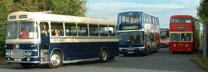 Royal Blue Bristol MW 1433