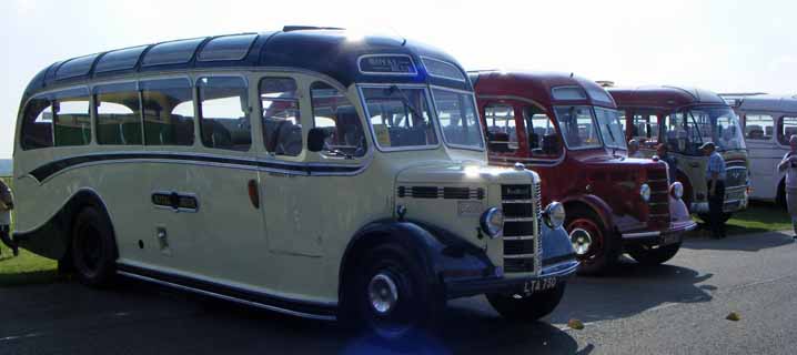 Royal Blue & other Bedford OBs at SHOWBUS 2008
