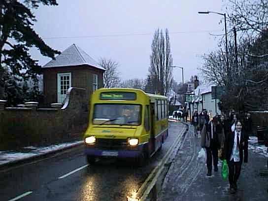 Bee Line at Sir William Borlase's Grammar School