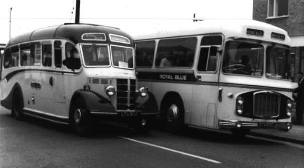Royal Blue Bristol RELH6G ECW 1459 & Bedford OB Duple 1428